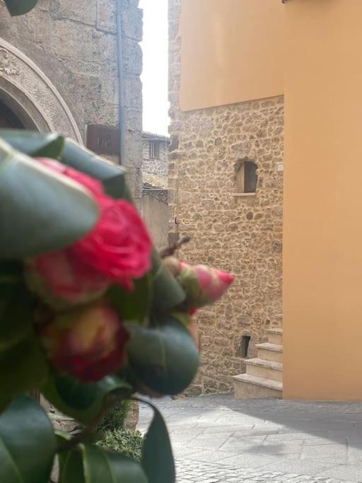 Appartement Il Nido Dell'Arte à Anagni Extérieur photo